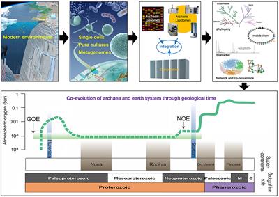 Editorial: Ecology, Metabolism and Evolution of Archaea-Perspectives From Proceedings of the International Workshop on Geo-Omics of Archaea